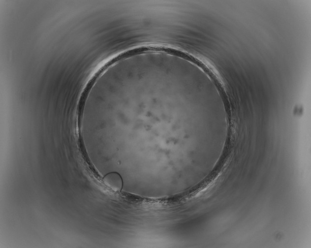 X0000090870887200707271248