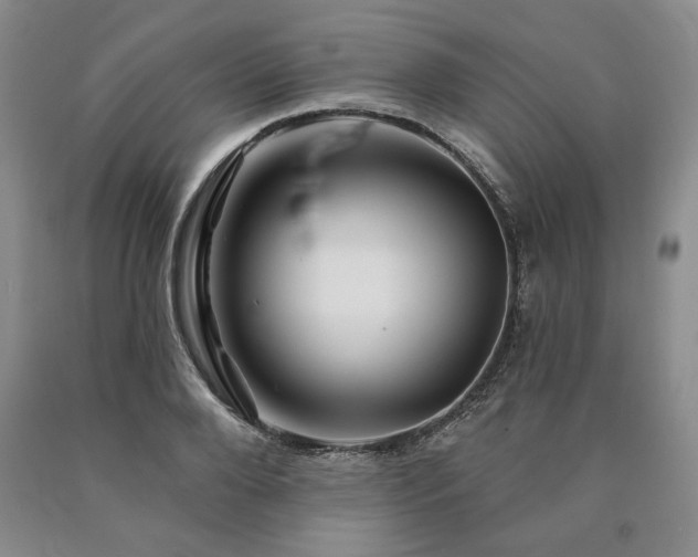 X0000090870888200707271248