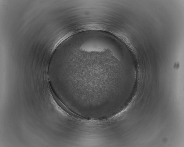 X0000090870889200707271248