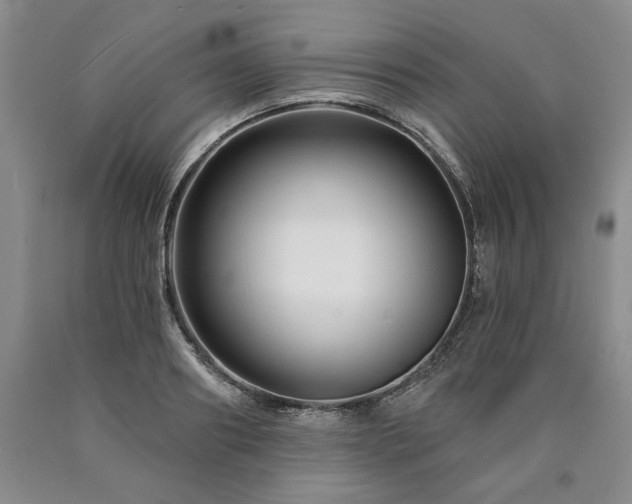 X0000090870890200707271248