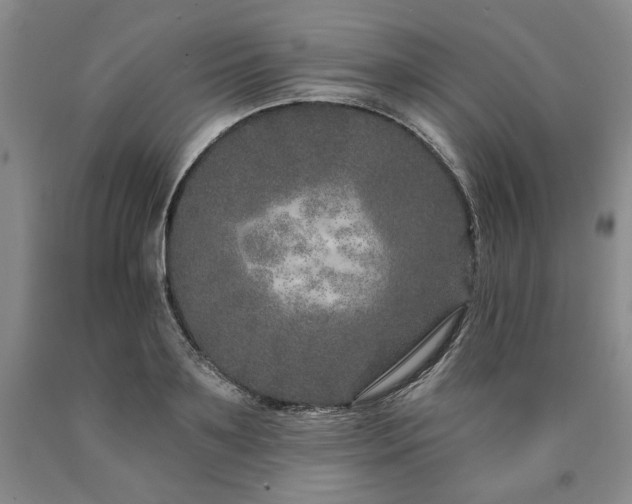 X0000090870891200707271248