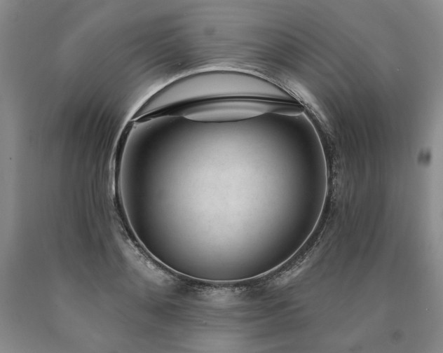 X0000090870892200707271248