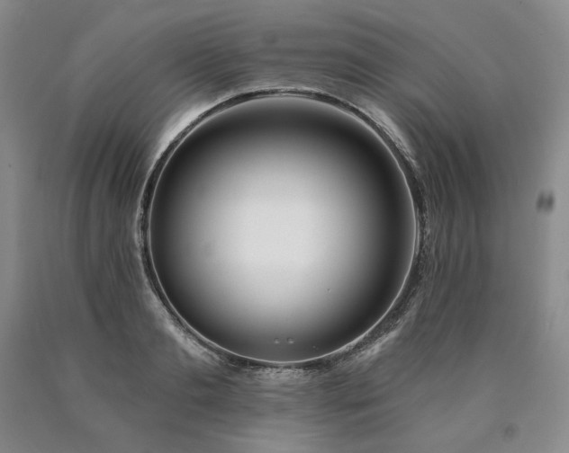 X0000090870893200707271248