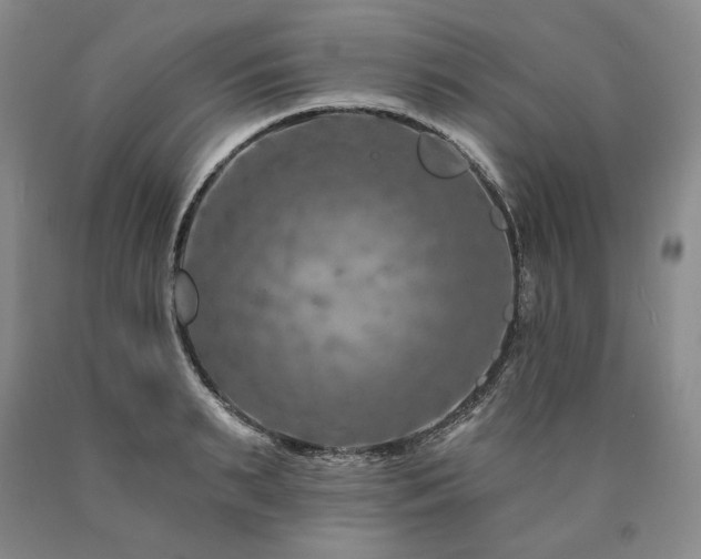 X0000090870895200707271248