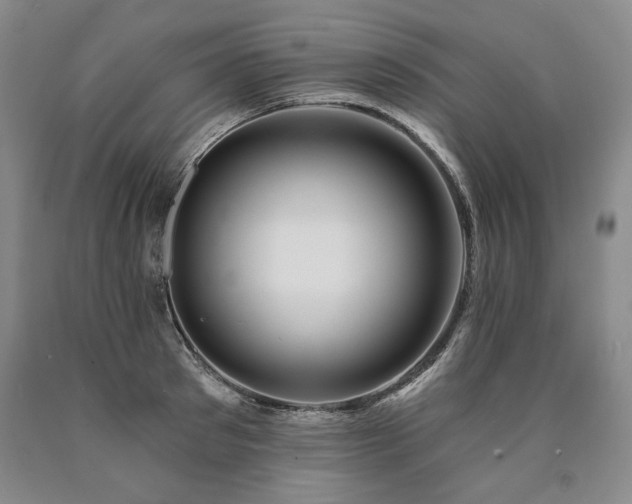 X0000090870897200707271248