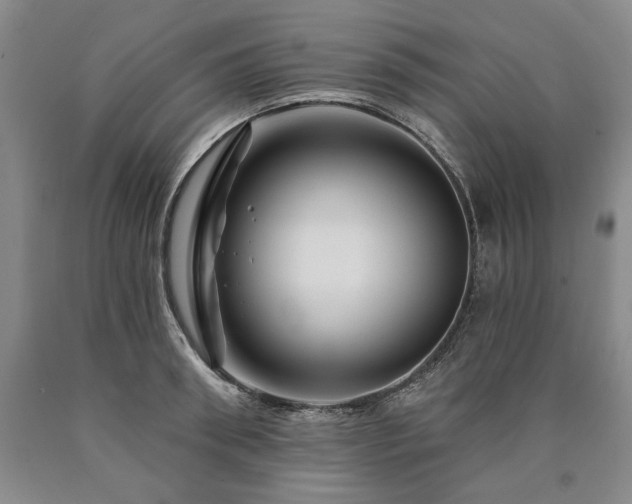 X0000090870898200707271248