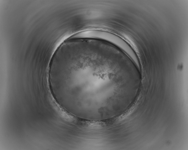 X0000090870899200707271248