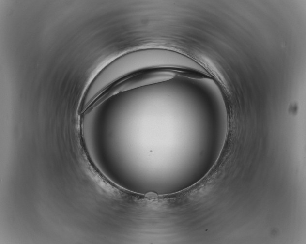 X0000090870900200707271248