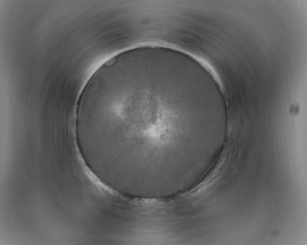 X0000090870903200707271248