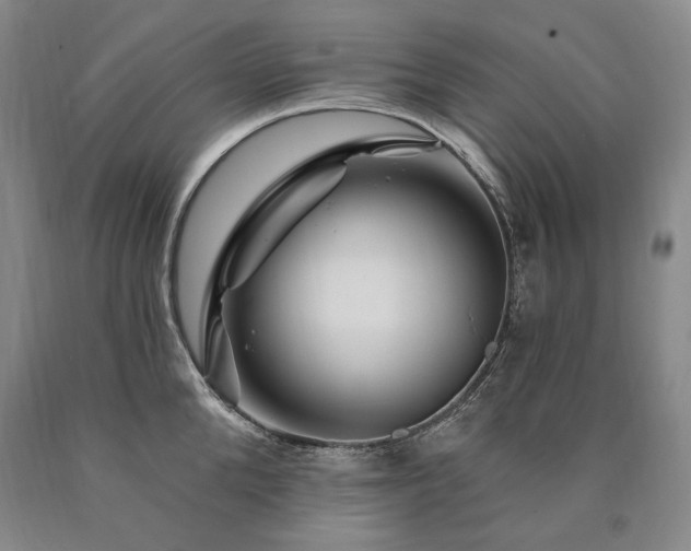 X0000090870904200707271248