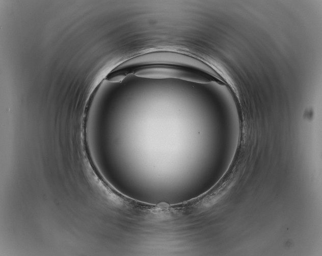 X0000090870906200707271248