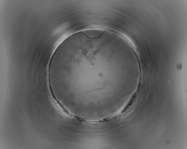 X0000090870907200707271248