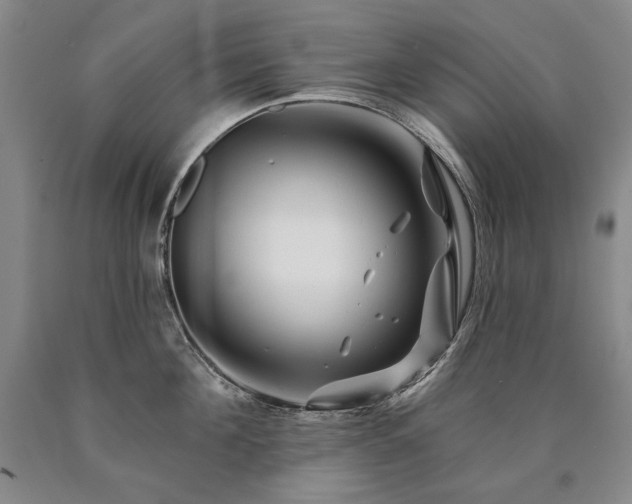 X0000090870908200707271248