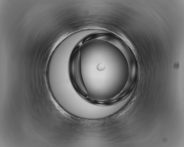 X0000090870909200707271248