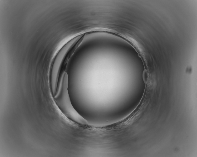 X0000090870910200707271248