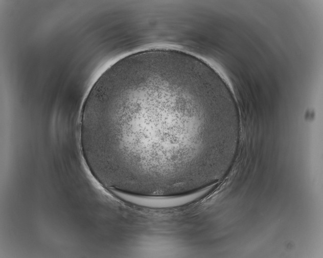 X0000090870911200707271248