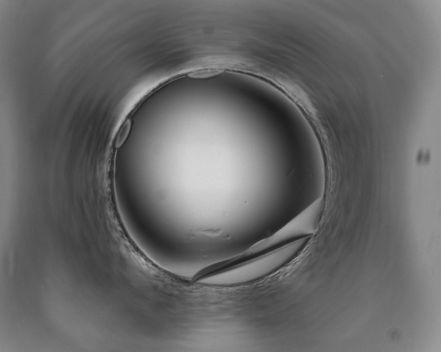 X0000090870912200707271248