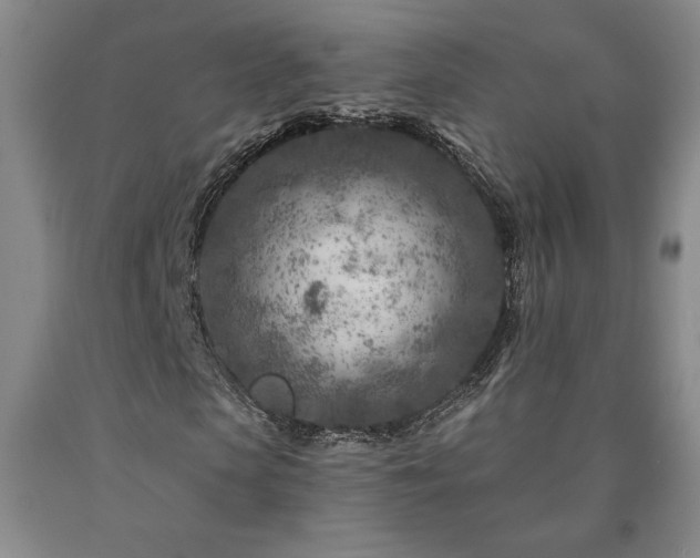 X0000090870913200707271247