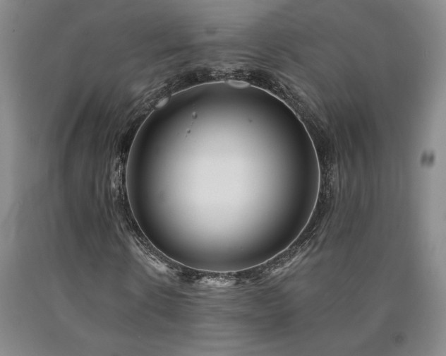 X0000090870914200707271247