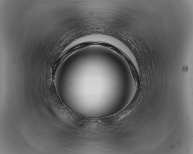 X0000090870916200707271247