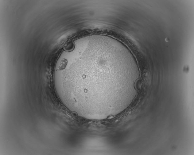 X0000090870918200707271247