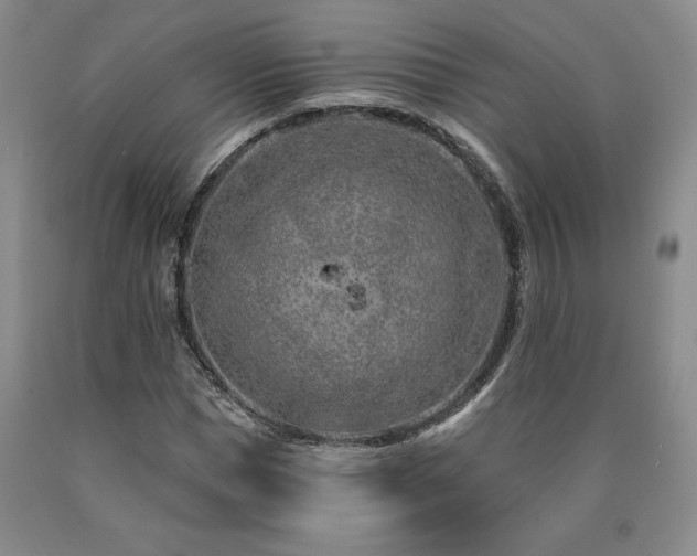 X0000090870921200707271247