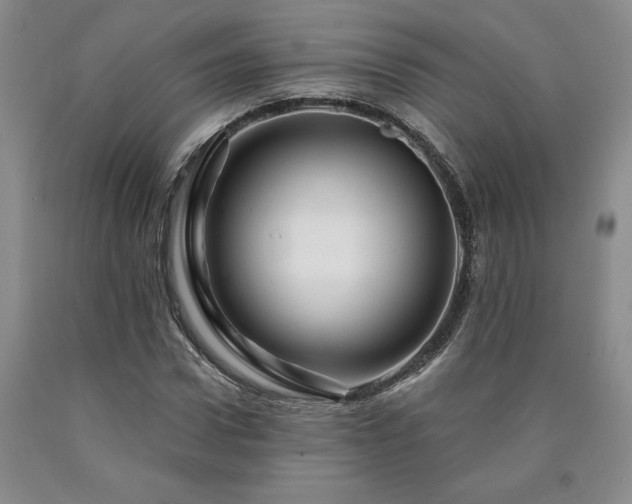 X0000090870922200707271247