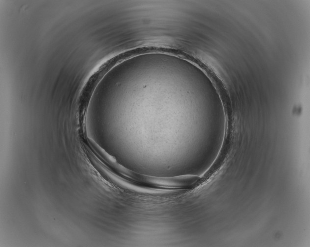 X0000090870923200707271247