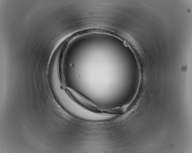 X0000090870924200707271247