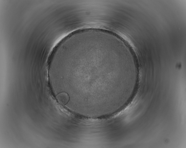 X0000090870925200707271247