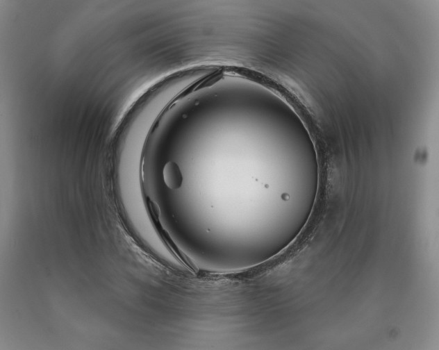 X0000090870926200707271247