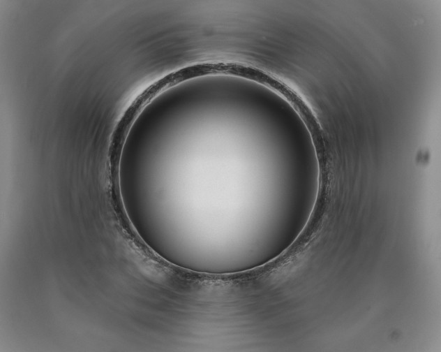 X0000090870927200707271247