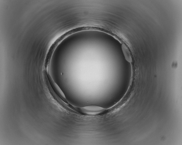 X0000090870928200707271247