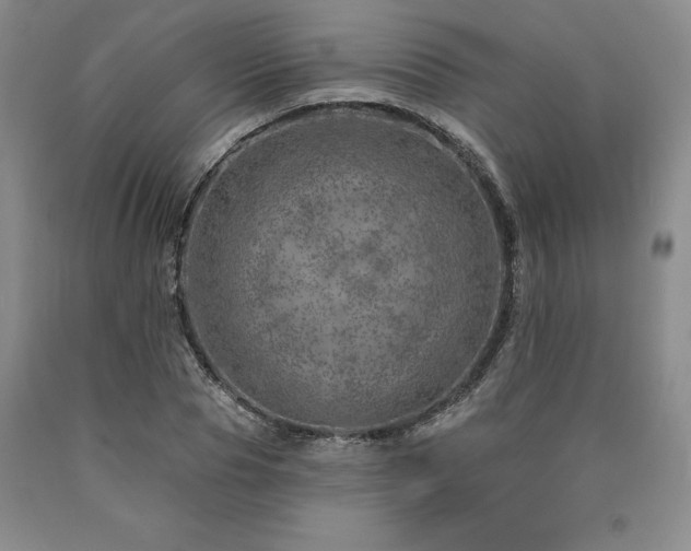 X0000090870929200707271247