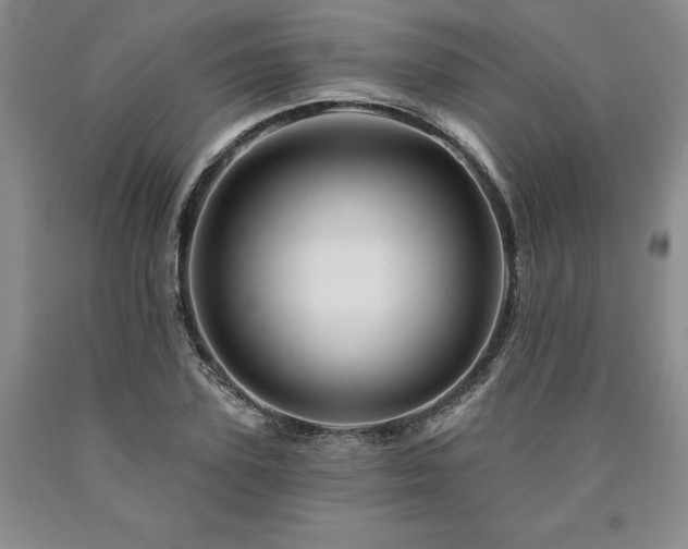 X0000090870931200707271247