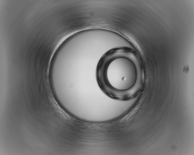 X0000090870932200707271247