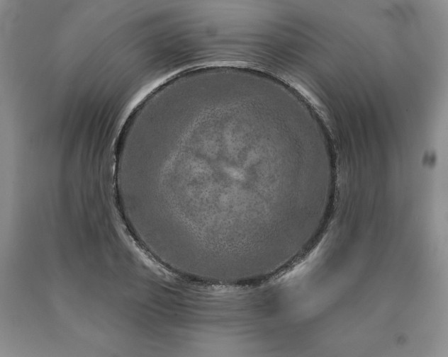 X0000090870933200707271247