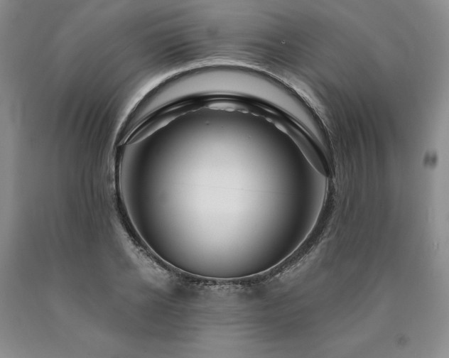 X0000090870934200707271247