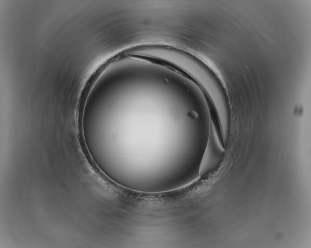 X0000090870935200707271247