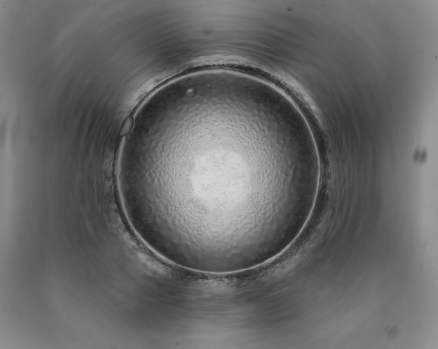 X0000090870937200707271247