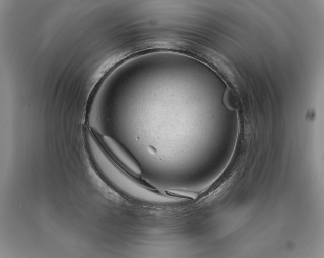 X0000090870938200707271247