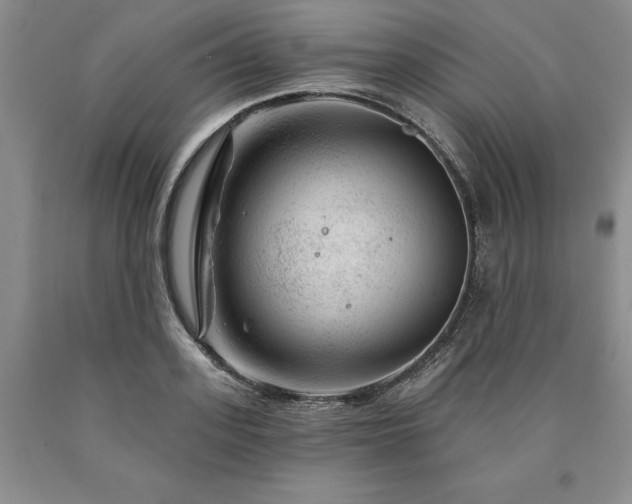 X0000090870939200707271247