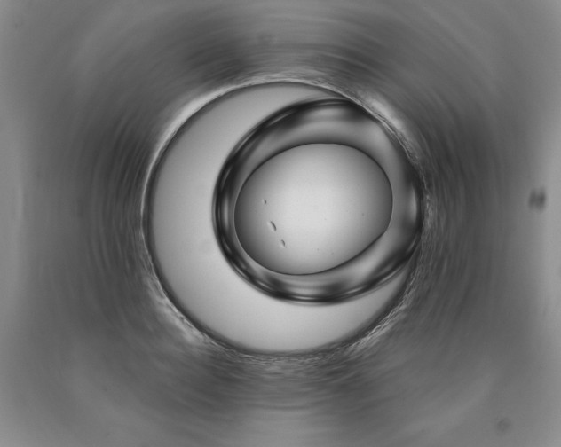 X0000090870940200707271247