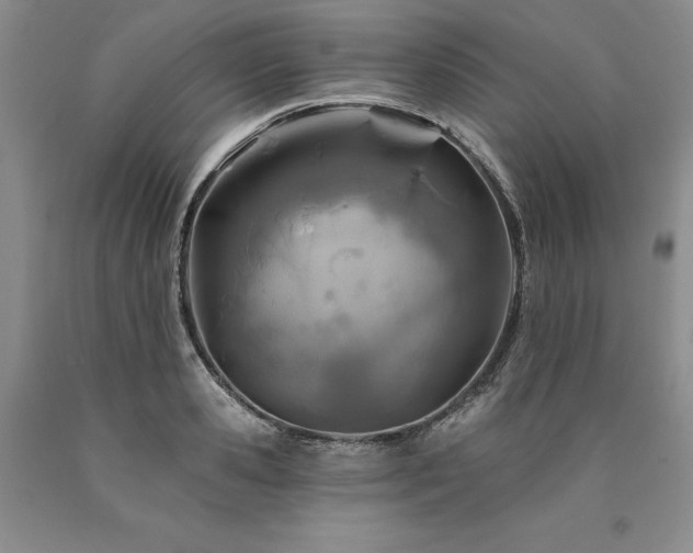 X0000090870941200707271247