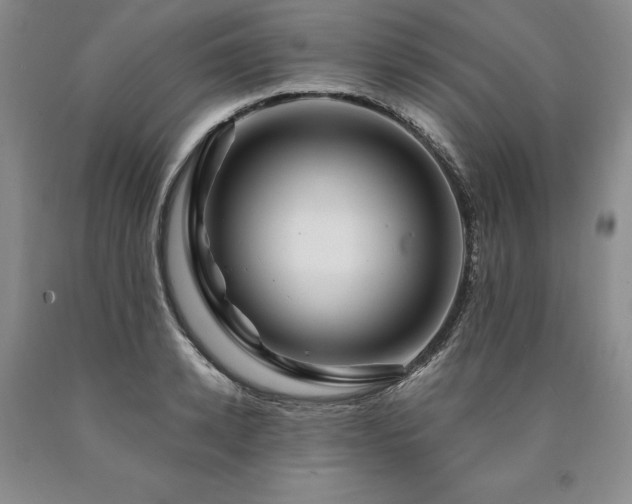 X0000090870942200707271247