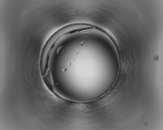 X0000090870943200707271247