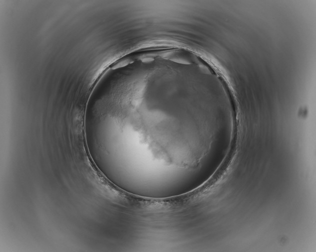 X0000090870945200707271247