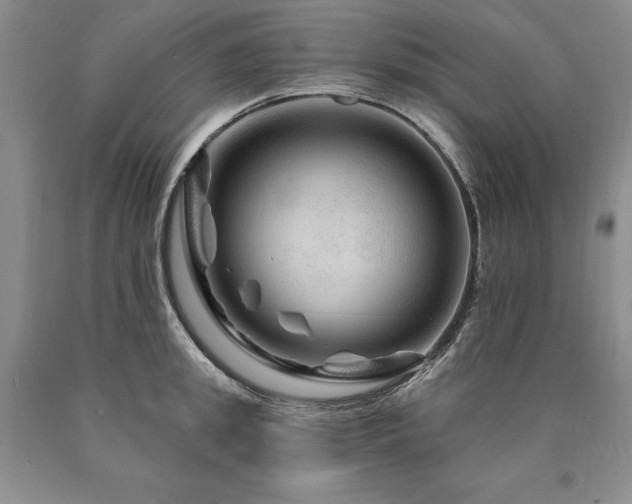 X0000090870949200707271248