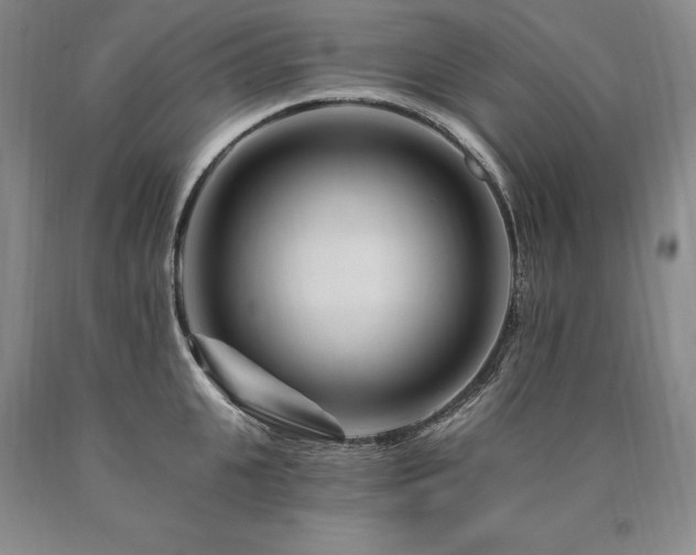 X0000090870951200707271248