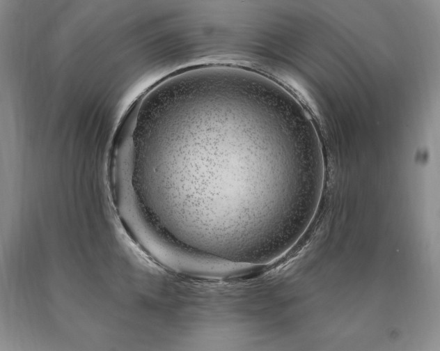 X0000090870952200707271248